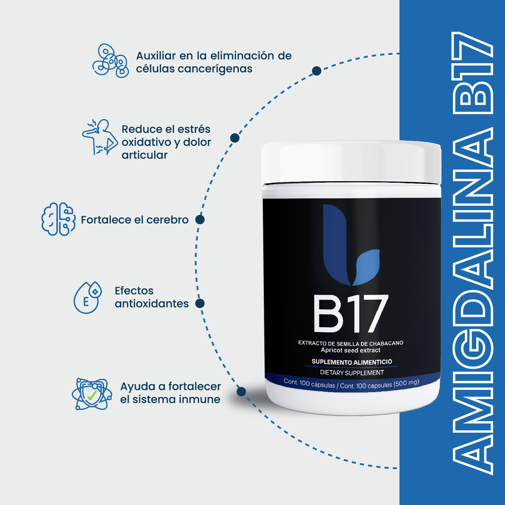 Vitamina B17 Extracto de Semilla de Chabacano, Amigdalina, Laetrile 500mg con 100 Capsulas Pack de 2 - Image 2