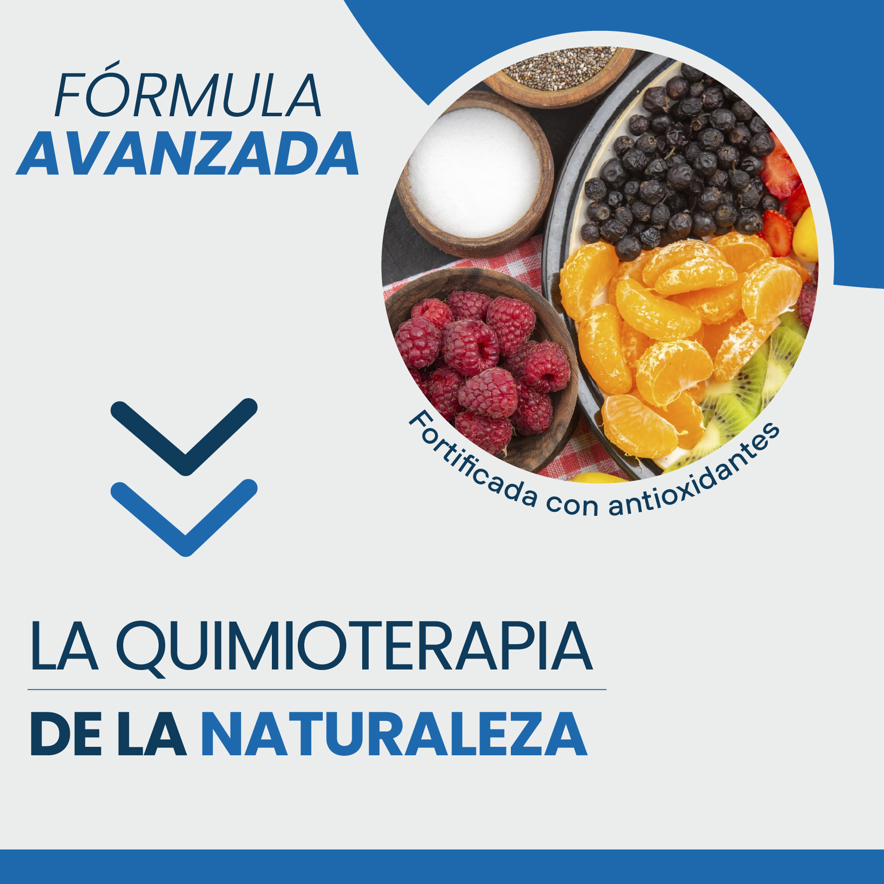 Vitamina B17 Extracto de Semilla de Chabacano, Amigdalina, Laetrile 500mg con 100 Capsulas Pack de 2 - Image 3