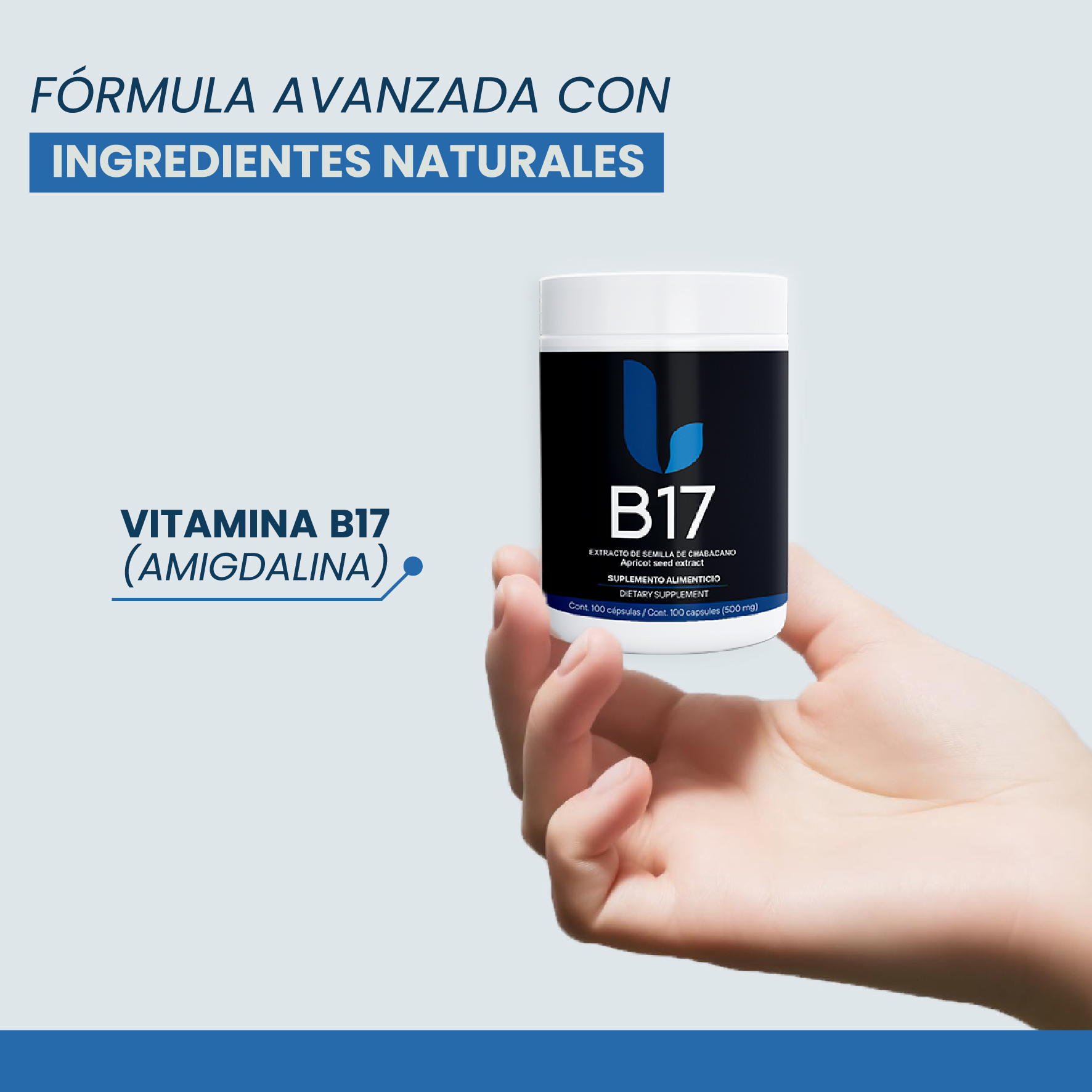 Vitamina B17 Extracto de Semilla de Chabacano, Amigdalina, Laetrile 500mg con 100 Capsulas Pack de 2 - Image 5