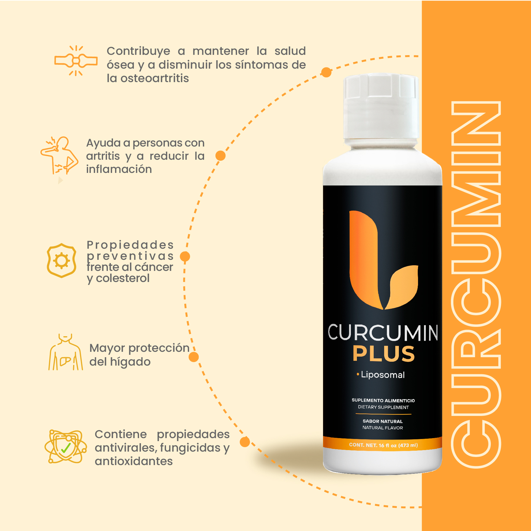 Curcumin Plus Fortalecida Con Glucosamina + Boswellia + MSM + Boro + Jengibre y Zinc 473mL - Image 2