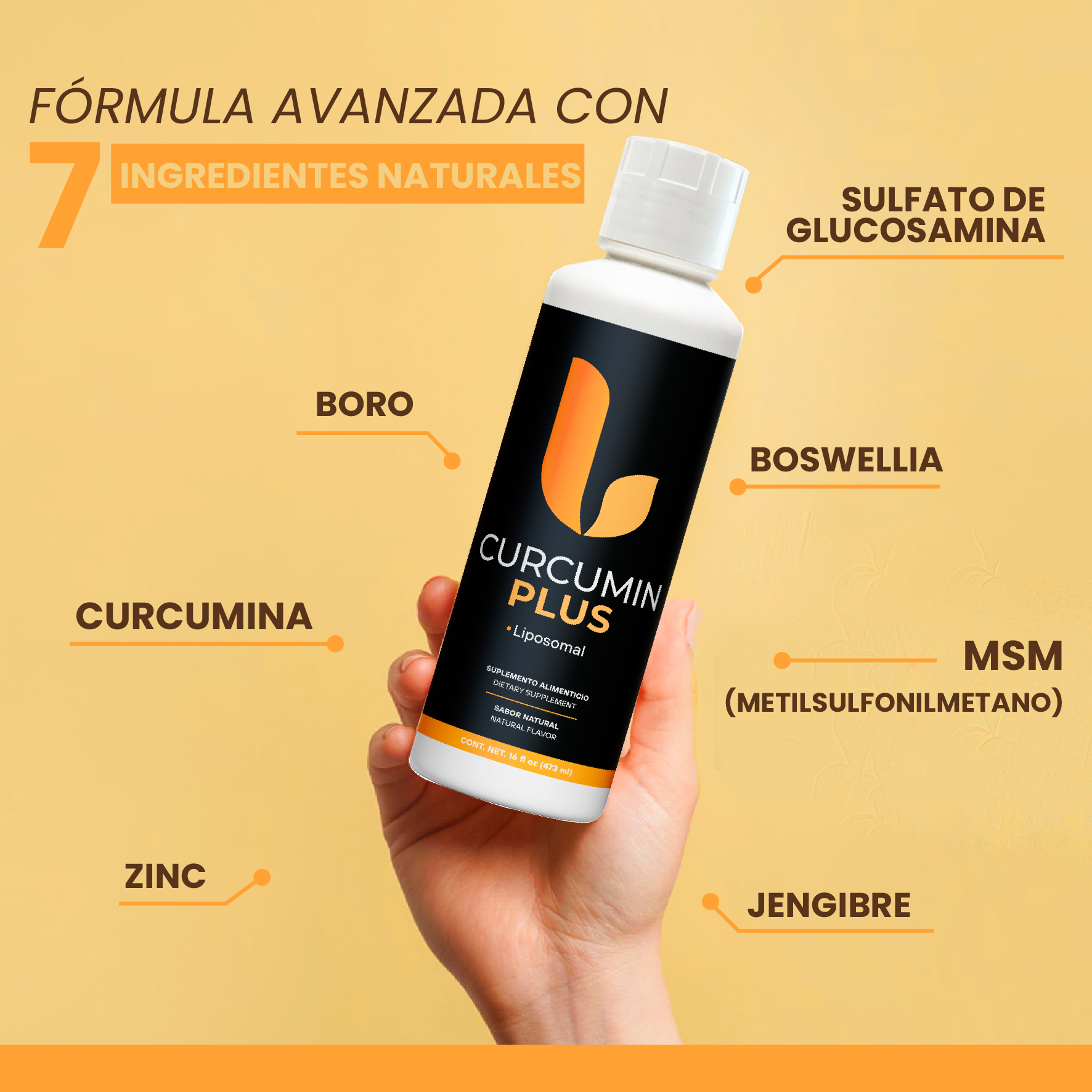 Curcumin Plus Fortalecida Con Glucosamina + Boswellia + MSM + Boro + Jengibre y Zinc 473mL - Image 5