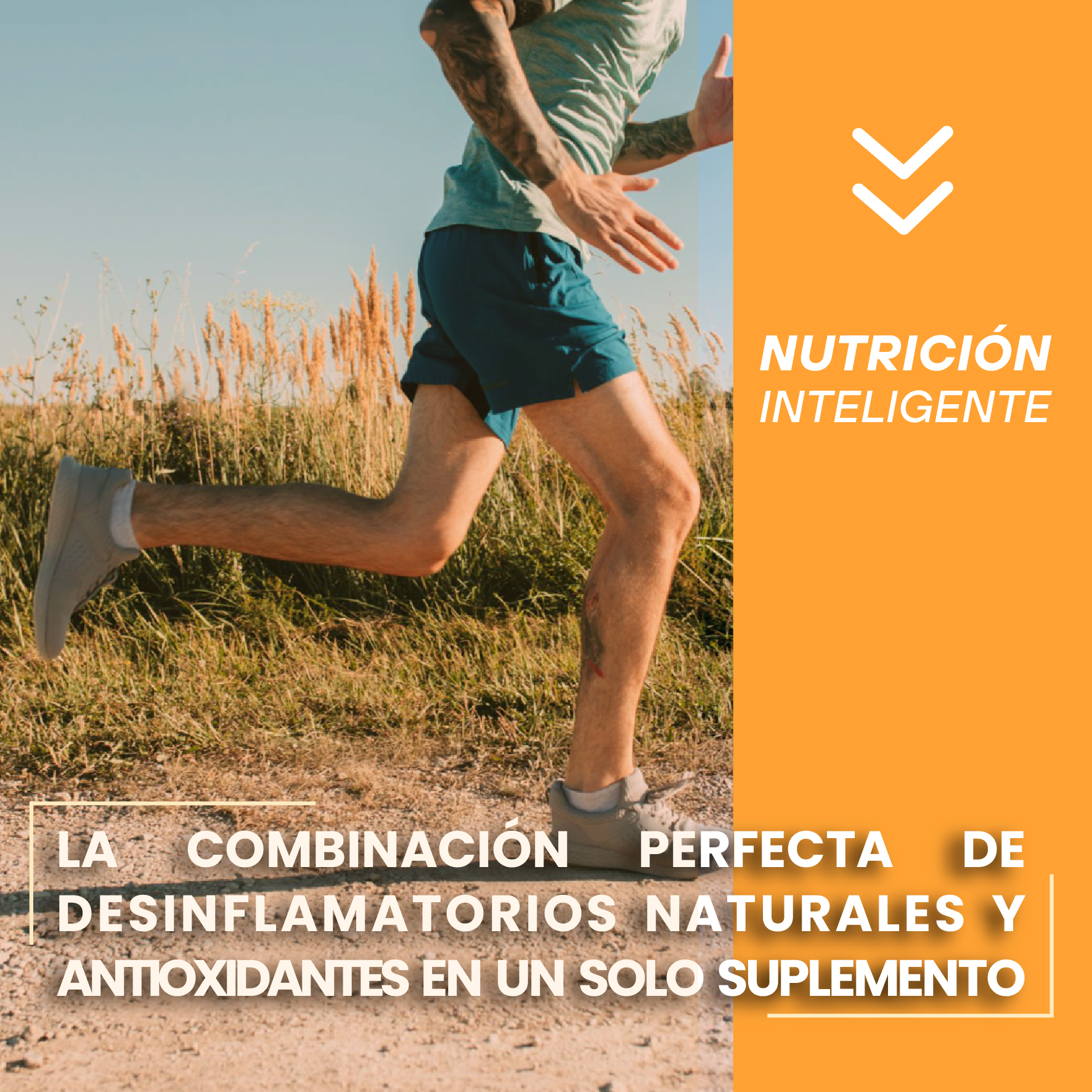 Curcumin Plus Fortalecida Con Glucosamina + Boswellia + MSM + Boro + Jengibre y Zinc 473mL - Image 7