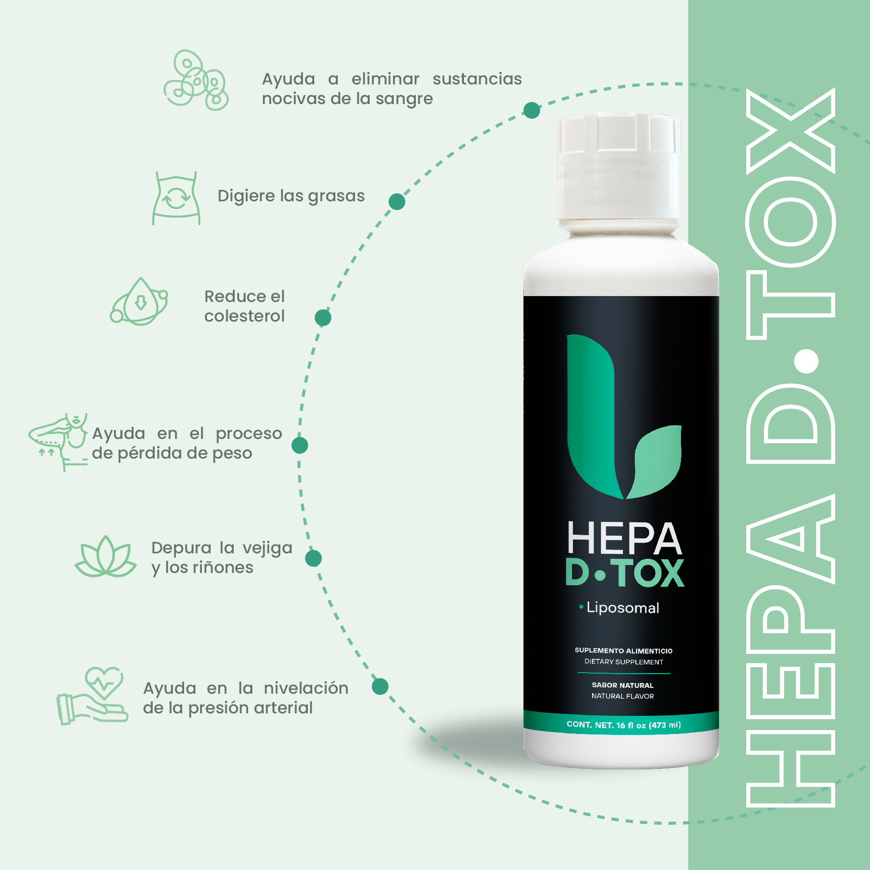 Hepa D-Tox Con Cardo Lechoso + Zarzaparrilla + Extracto de Hoja de Olivo 473mL - Image 2