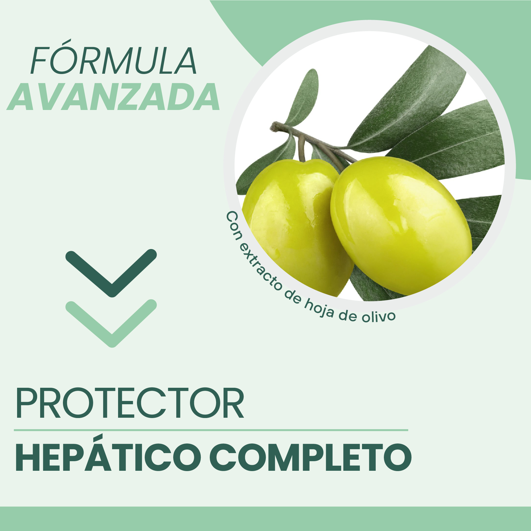 Hepa D-Tox Con Cardo Lechoso + Zarzaparrilla + Extracto de Hoja de Olivo 473mL - Image 3