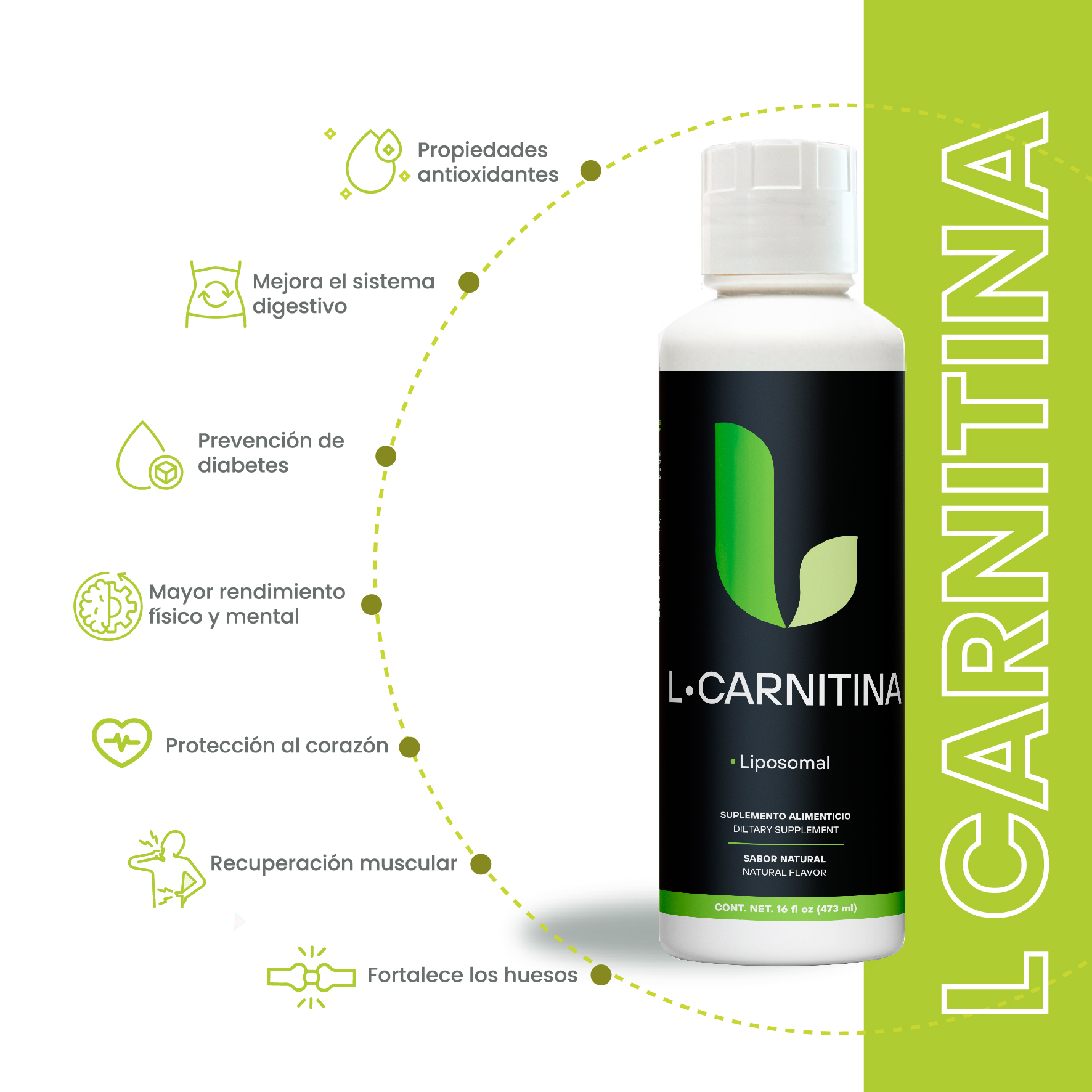 L-Carnitina Fortalecida con Aminoácidos L-Metionina y L-Lisina 473mL - Image 2