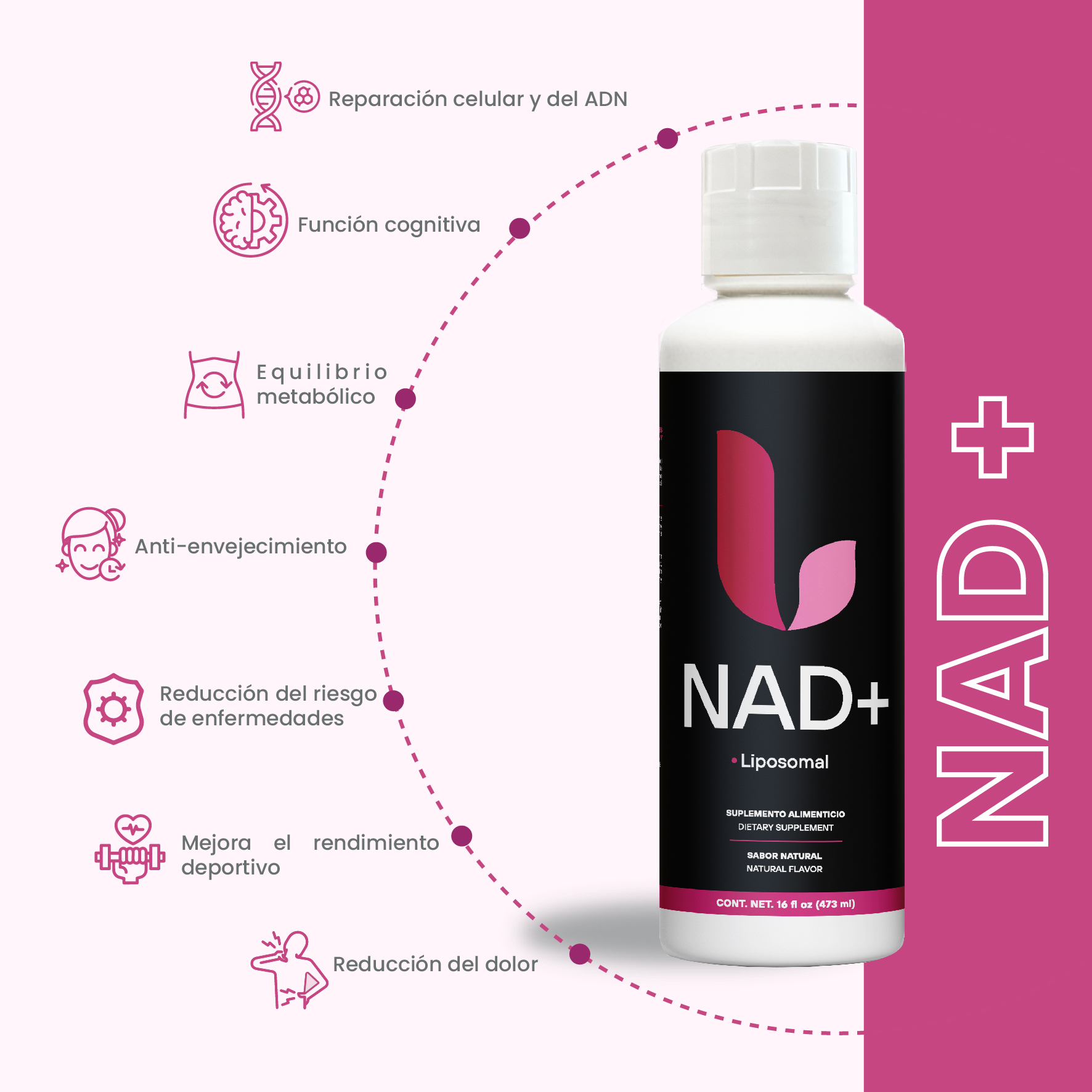 NAD+ (Nicotinamida Adenina Dinucleótido) 473mL - Image 2